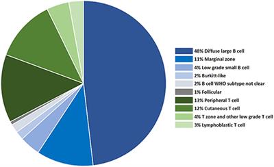 The Genetic and Molecular Basis for Canine Models of Human Leukemia and Lymphoma